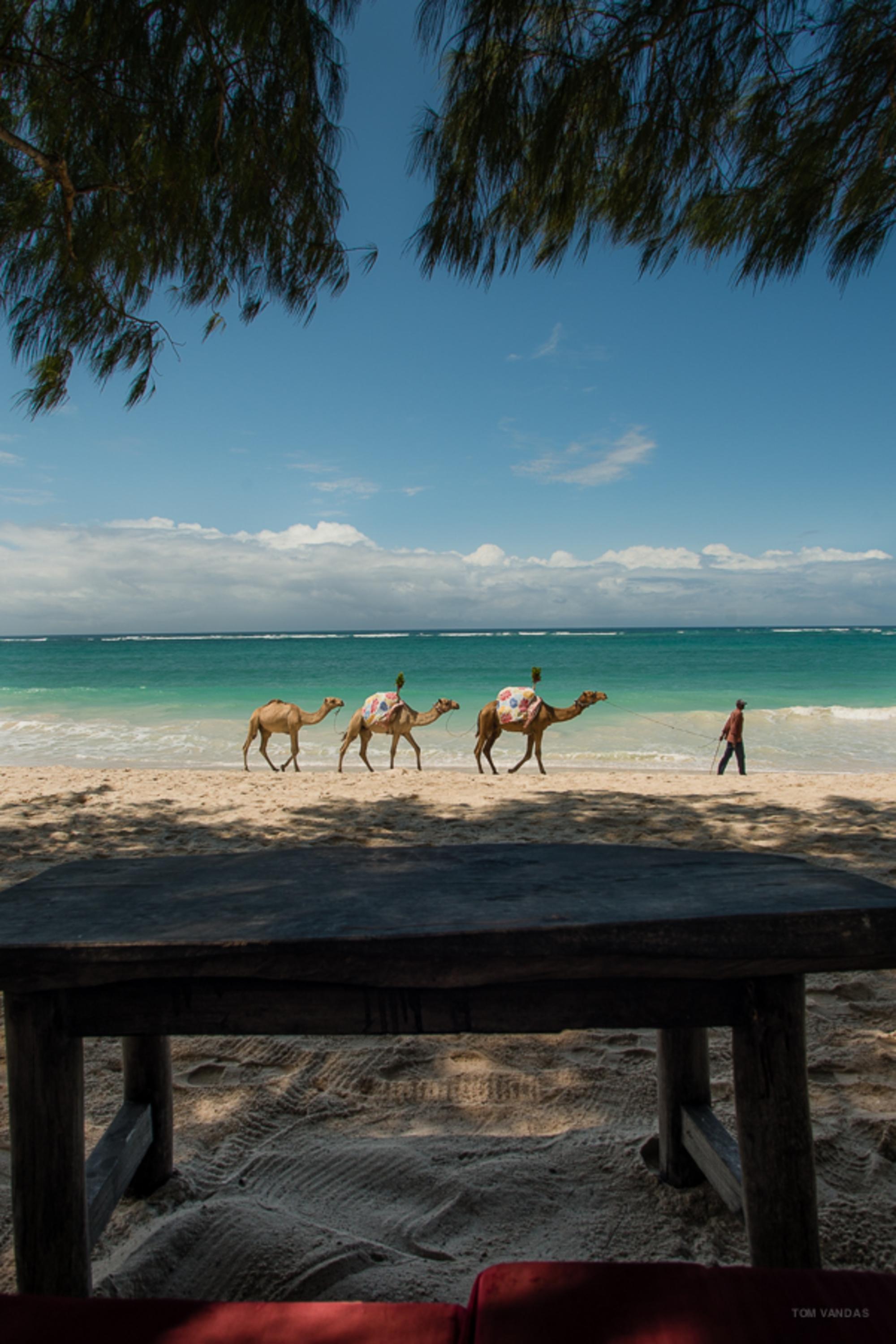 Bahari Dhow Beach Villas Diani Beach Exterior photo